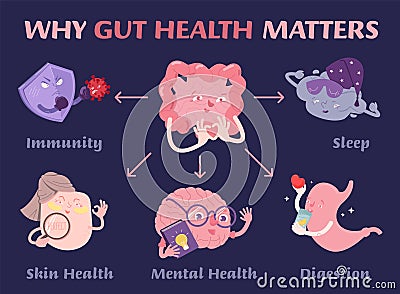 Why gut health matters. Scientific poster with characters. Vector Illustration