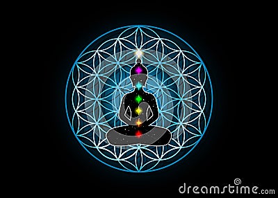 Sacred Geometry, flower of life and Buddha in a lotus position with colorful 7 chakras. Metatrons cube. Symbol of alchemy isolated Vector Illustration