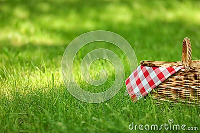 Wicker basket with blanket on green grass in park. Summer picnic Stock Photo