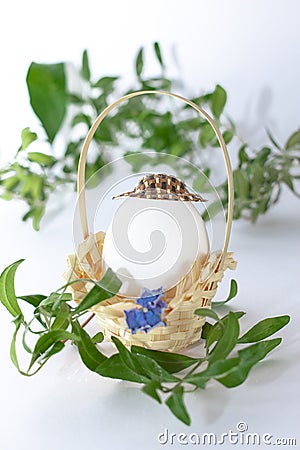 Wicker Basket with Easter egg in a hat and green grass branch on white pastel background. Creative . Art food concept Stock Photo