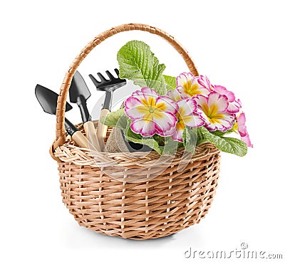 Wicker basket with flowers and gardening tools on white background Stock Photo