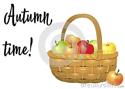 Wicker basket full of apples isolated on white background. Vector Illustration Stock Photo