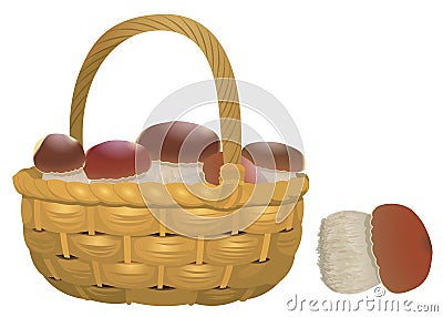 Wicker basket full of orange cap boletus isolated on white background. Vector Illustration Stock Photo