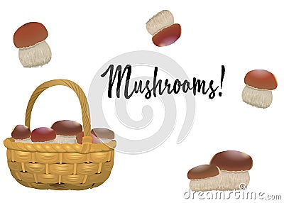 Wicker basket full of orange cap boletus and mushroom separately isolated on white background. Vector Illustration Stock Photo