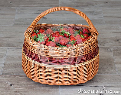 Wicker basket full of ripe garden strawberries on grey / brown wooden tiles. Fresh home grown strawberry in basket. Stock Photo