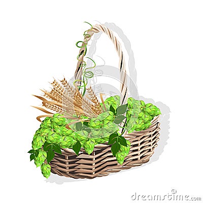 Wicker basket with hops and malt Vector Illustration