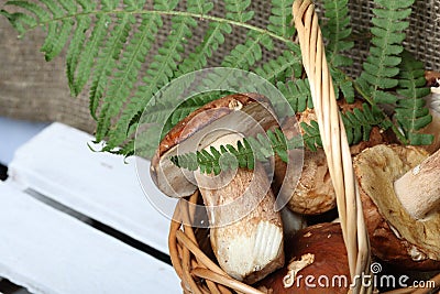 Wicker basket with porcini mushrooms and a bunch of blooming heather. Shot on a background of coarse linen fabric with a sheet of Stock Photo