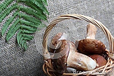 Wicker basket with porcini mushrooms and a bunch of blooming heather. Shot on a background of coarse linen fabric with a sheet of Stock Photo