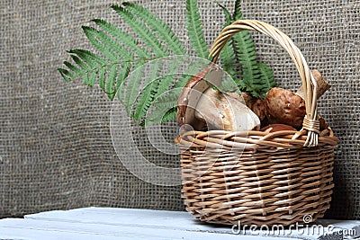 Wicker basket with porcini mushrooms and a bunch of blooming heather. Shot on a background of coarse linen fabric with a sheet of Stock Photo