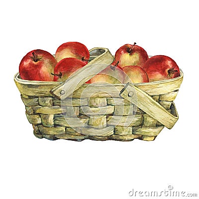 Wicker basket of veneer, filled with fresh red apples. Stock Photo