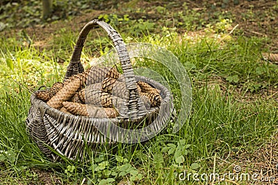 Wicker busket Stock Photo