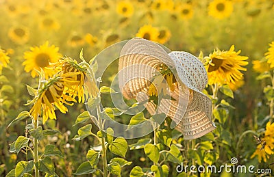 A wicker hat hangs on a sunflower. Stock Photo