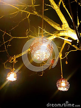 Wicker lanterns illuminating the night sky hanging from a tree in San pancho mexico Stock Photo