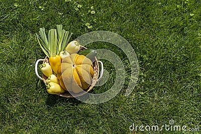 Wicker rustic basket full of seasonal vegetables on green grass in nature Stock Photo