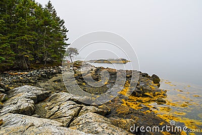 Wide Angle Beauty on the Coast of Maine Stock Photo