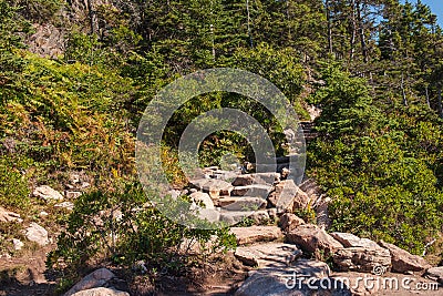 Stairway Made of Rock in Acadia National Park Stock Photo