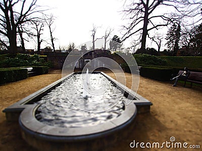 Wide angle shot of a pool of water surrounded by trees Stock Photo