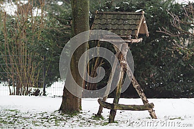 Wide angle shot of a wooden construction next to a tree Stock Photo