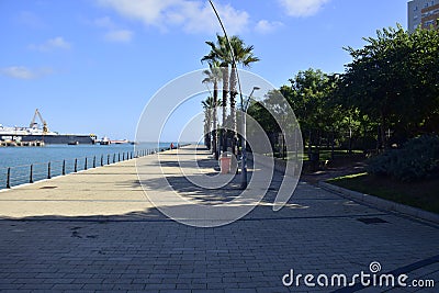 a wide city embankment with palm trees. Cadiz Stock Photo