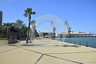 a wide city embankment with palm trees. Cadiz Editorial Stock Photo