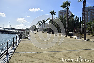 a wide city embankment with palm trees. Cadiz Stock Photo