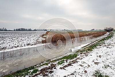 Wide ditch covered with ice in a snowy Dutch polder landscape Stock Photo