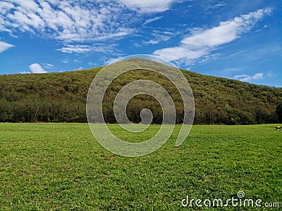 A wide field overlooking the mountains and the sky Stock Photo