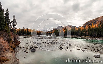 Wide flood of the river. Beautiful misty mountain landscape with wide Argut river. Gloomy scenery with big mountain river in mist Stock Photo