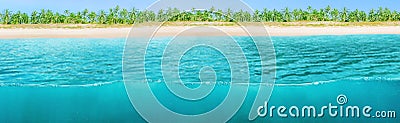 Wide horizontal design of tropical background Stock Photo