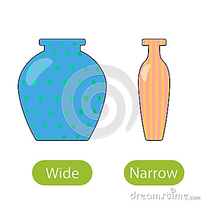 Wide and narrow vase. the concept of teaching children wide and narrow opposite adjectives Vector Illustration