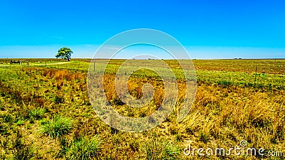 The wide open farmland along the R39 in the Vaal River region of southern Mpumalanga Stock Photo