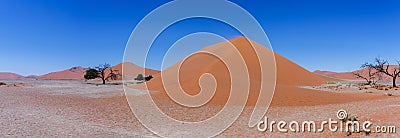 Wide panorama Dune 45 in sossusvlei Namibia Stock Photo