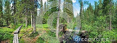 A wide panorama of the taiga wooden footpath along the mixed green along the river which reflects the blue sky. Paanayarvi Stock Photo