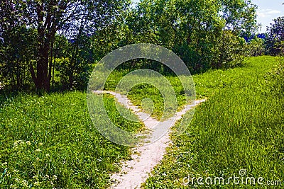 A wide path in the grass is divided into two narrow paths, diverging in different directions Stock Photo