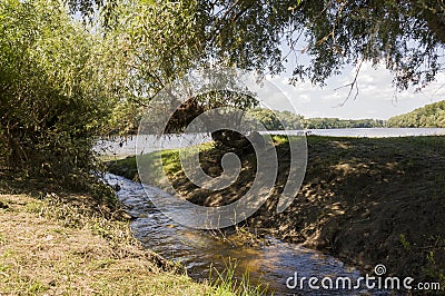 Wide river and small creek in summer meadow. Poplar fluff. June, july Stock Photo