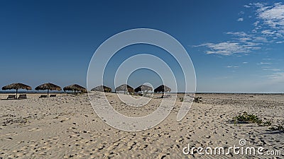 On the wide sandy beach, straw sun umbrellas and deck chairs stand in a row. Stock Photo