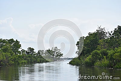 Wide Shallow Water Ways through The Bayou Stock Photo