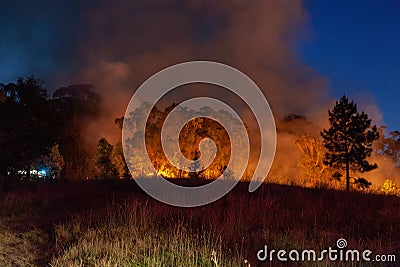 Wide shot of raging wildfire grassfire with emergency vehicle lights in background. Inspiration image for bushfire warning, summer Stock Photo