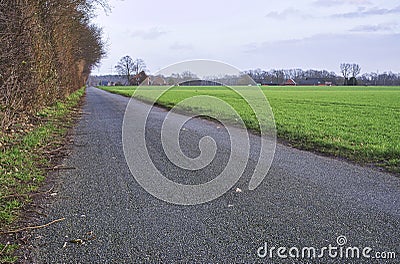 wide track with fields beside Stock Photo