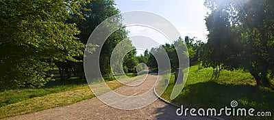 Wide track in the park, morning, spring time Stock Photo