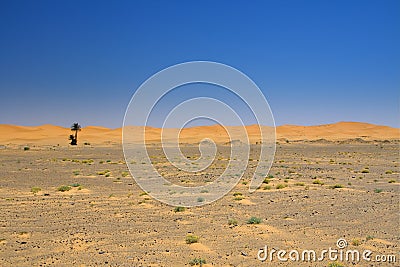 Wide view of the edge of the desert Stock Photo