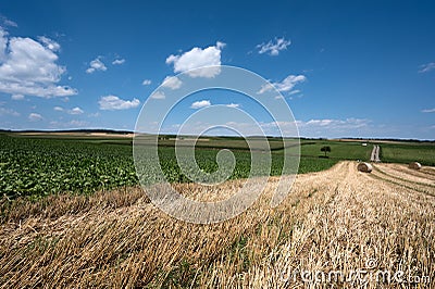 Wide view over agricultural landscape Stock Photo