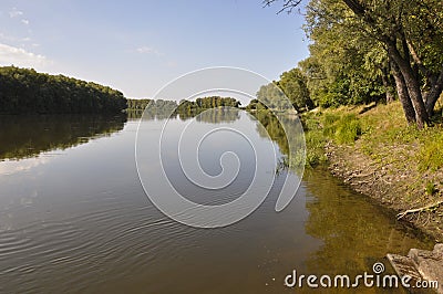 Wide yellow river is slow flowing. Early autumn. Sunny weather and brightgreen trees on the banks fron the both sides Stock Photo