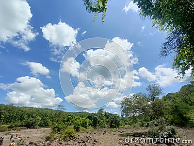 wideangle view of forest camping site Stock Photo