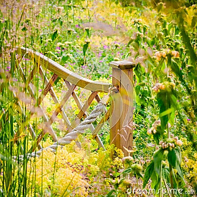 Widlflower garden fence rural outdoor countryside sunny blooming colourful plants in the summer UK England Stock Photo