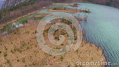 Widok z lotu ptaka, Lata nad lasem w górach w Austria, Hinterstoder zbiory wideo Widok z lotu ptaka, Lata nad lasem w górach w Austria, Hinterstoder zbiory wideo