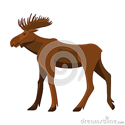 Wild adult moose with big branchy horns and strong legs Vector Illustration