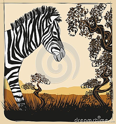 Wild africa card with zebra Vector Illustration