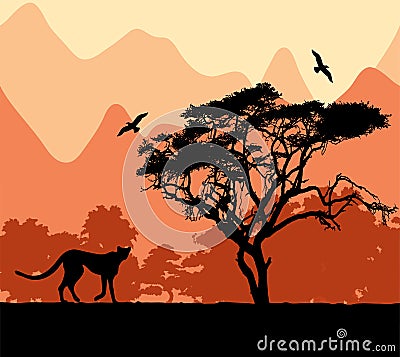 Wild african animals Vector Illustration