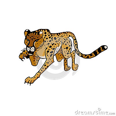 Wild african animals. Cheetah. Hand drawn vector illustration Vector Illustration
